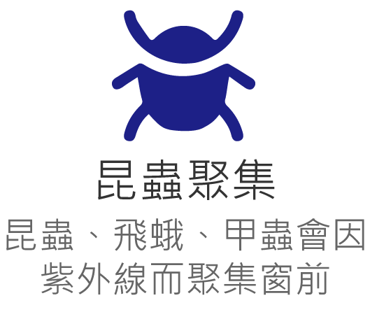 玻璃隔熱奈米塗料解決昆蟲聚集問題